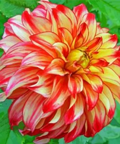 Red Orange Dahlia Diamond Painting