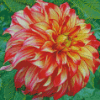 Red Orange Dahlia Diamond Painting