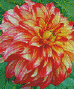 Red Orange Dahlia Diamond Painting