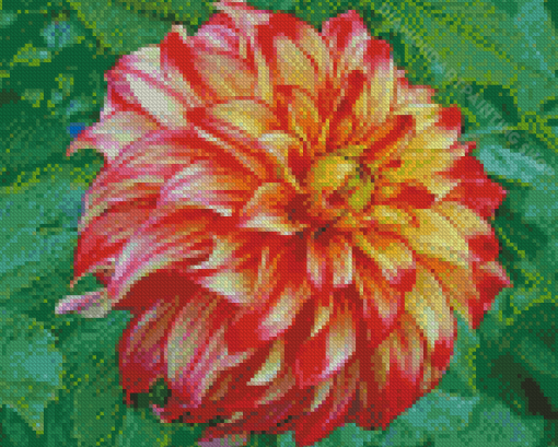 Red Orange Dahlia Diamond Painting