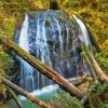 Russian Gulch State Park In California Diamond Painting