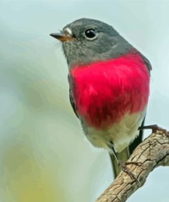 Small Rose Robin Bird Diamond Painting