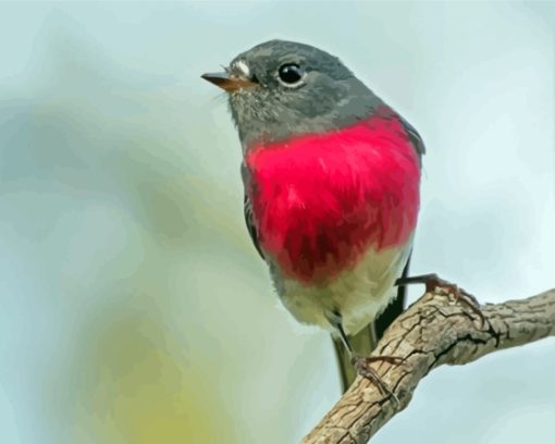 Small Rose Robin Bird Diamond Painting