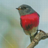 Small Rose Robin Bird Diamond Painting