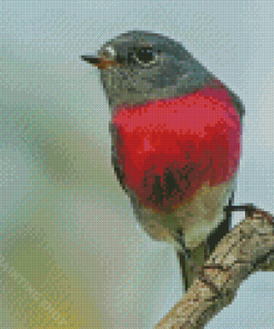 Small Rose Robin Bird Diamond Painting