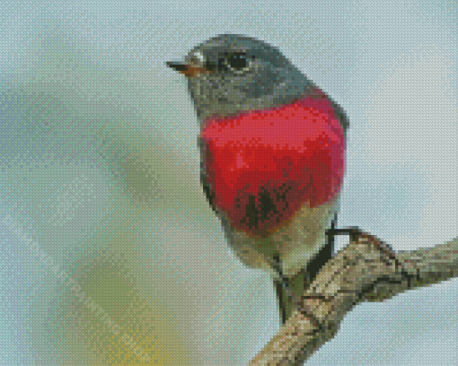 Small Rose Robin Bird Diamond Painting