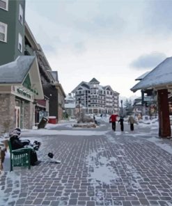 Snowshoe Village Diamond Painting