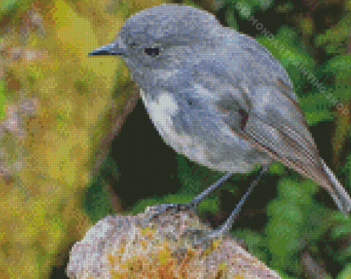 South Island Robin Diamond Painting