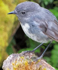 South Island Robin Diamond Painting