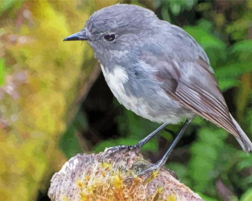 South Island Robin Diamond Painting