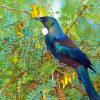 Tui Bird On Branch Diamond Painting