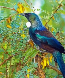 Tui Bird On Branch Diamond Painting