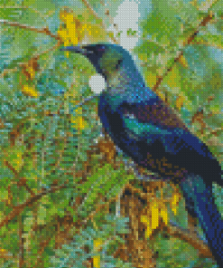 Tui Bird On Branch Diamond Painting