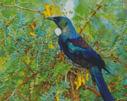 Tui Bird On Branch Diamond Painting