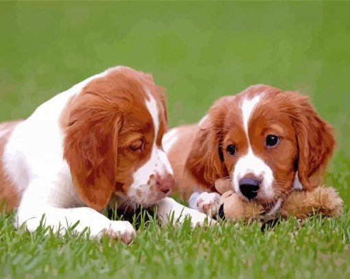 Two Brittany Puppies Dogs Diamond Painting