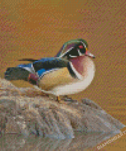 Wood Duck Bird Diamond Painting