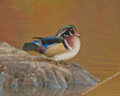 Wood Duck Bird Diamond Painting