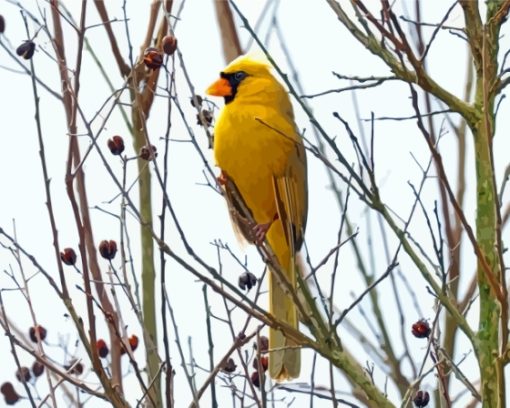 Yellow Cardinal On Dead Tree Diamond Painting