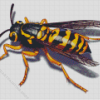 Yellow Jacket Diamond Painting