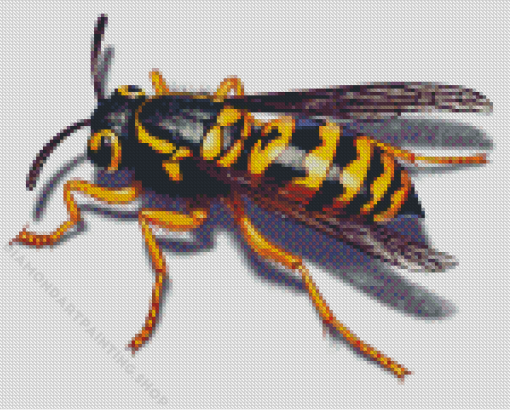 Yellow Jacket Diamond Painting