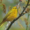 Yellow Warbler Bird On Tree Branch Diamond Painting