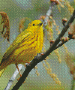 Yellow Warbler Bird On Tree Branch Diamond Painting