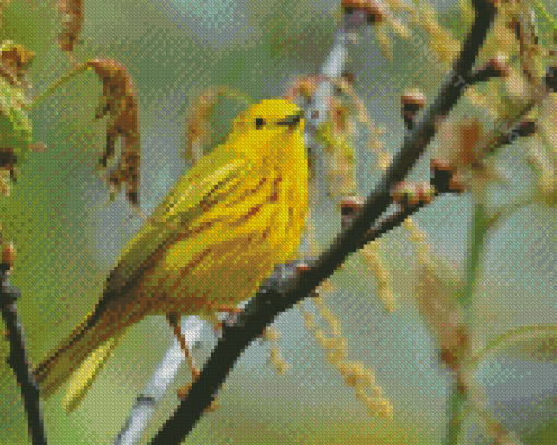 Yellow Warbler Bird On Tree Branch Diamond Painting