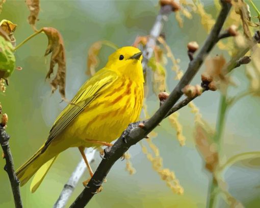 Yellow Warbler Bird On Tree Branch Diamond Painting