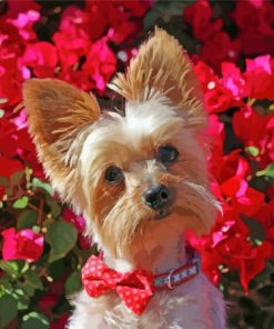 Yorkshire Terrier And Red Flowers Diamond Painting