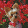 Yorkshire Terrier And Red Flowers Diamond Painting