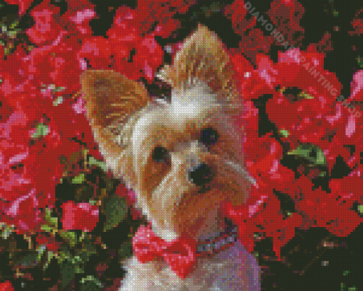 Yorkshire Terrier And Red Flowers Diamond Painting