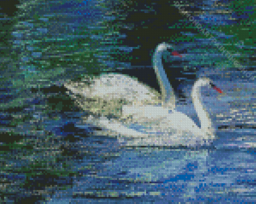 Abstract Swan Couple Diamond Painting