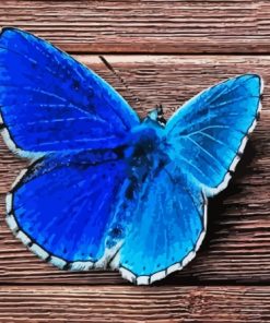 Aesthetic Blue Buttefly Diamond Painting