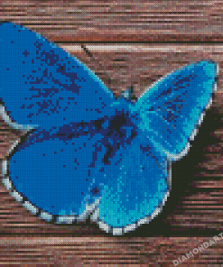 Aesthetic Blue Buttefly Diamond Painting