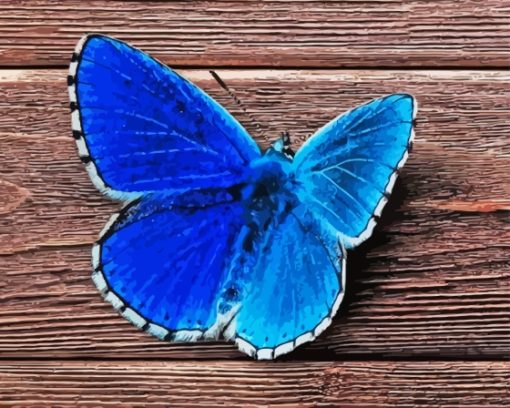 Aesthetic Blue Buttefly Diamond Painting