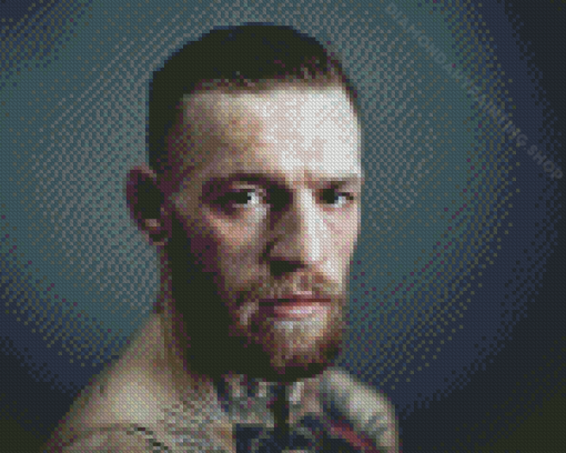 Aesthetic Conor McGregor Diamond Painting