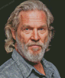 Aesthetic Jeff Bridges Diamond Painting