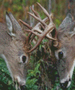 Animals Deer Fighting Diamond Painting