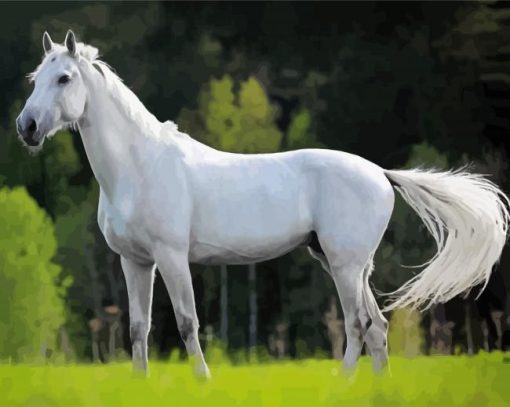 Beautiful White Horse Diamond Painting