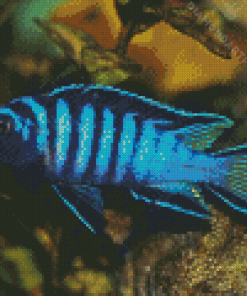 Blue Cichlid Diamond Painting