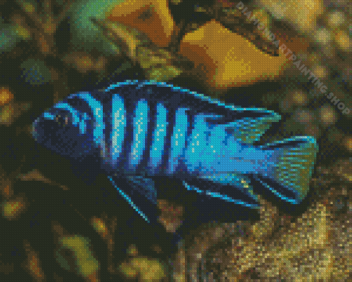 Blue Cichlid Diamond Painting