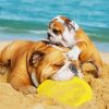 Bulldogs Playing With Frisbee At The Beach Diamond Painting