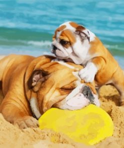 Bulldogs Playing With Frisbee At The Beach Diamond Painting