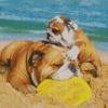 Bulldogs Playing With Frisbee At The Beach Diamond Painting