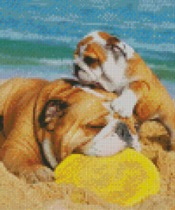 Bulldogs Playing With Frisbee At The Beach Diamond Painting