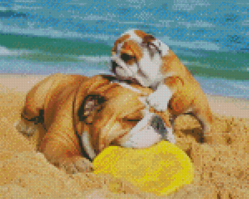 Bulldogs Playing With Frisbee At The Beach Diamond Painting