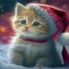 Christmas Cat Diamond Painting