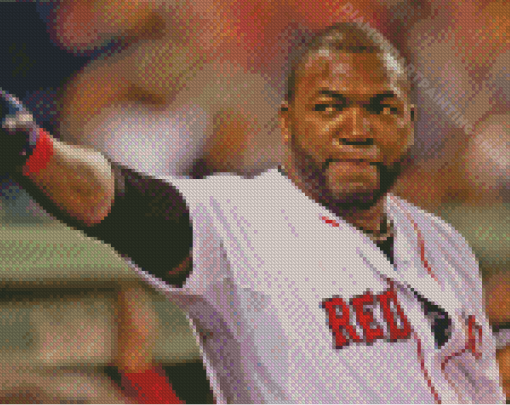 Cool David Ortiz Diamond Painting