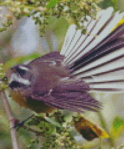 Cool New Zealand Fantail Diamond Painting