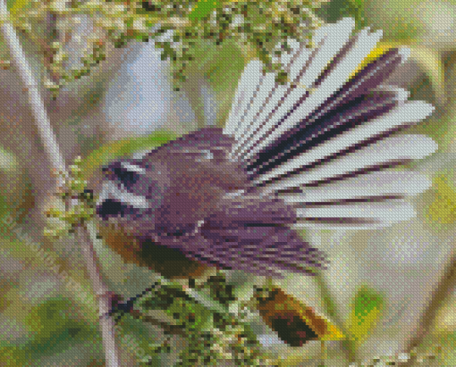 Cool New Zealand Fantail Diamond Painting